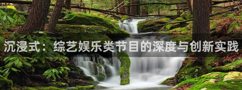 星空娱乐网站：沉浸式：综艺娱乐类节目的深度与创新实践