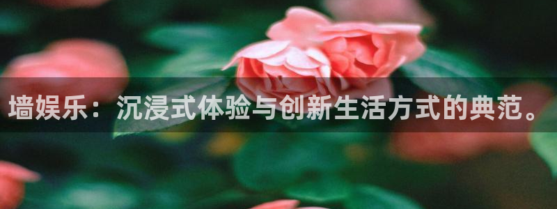upload/20250701114914.jpg