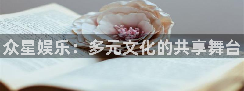 星空娱乐93299：众星娱乐：多元文化的共享舞台