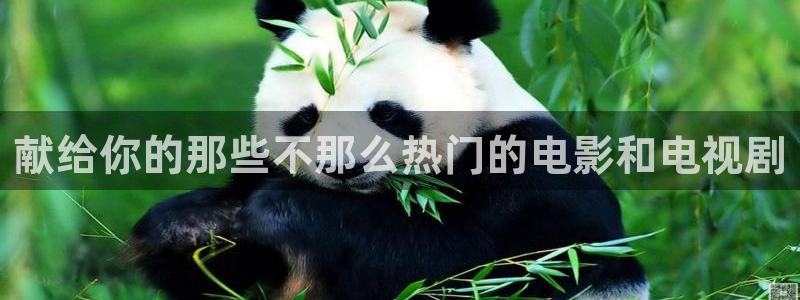 星空娱乐网站官网：献给你的那些不那么热门的电影和电视剧