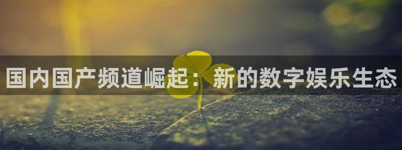 星空娱乐app下载安装：国内国产频道崛起：新的数字娱乐生态