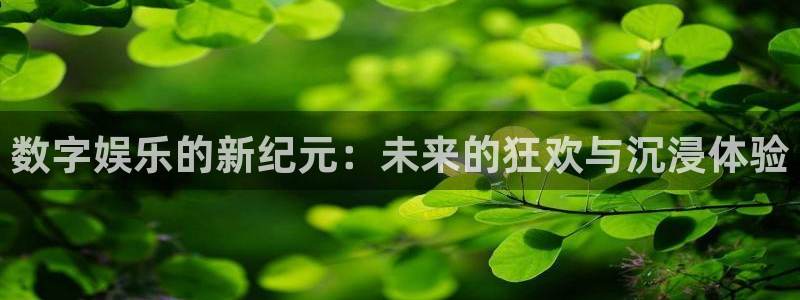 星空娱乐网：数字娱乐的新纪元：未来的狂欢与沉浸体验